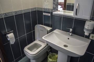 Фото номера Двухместный номер с 1 кроватью или 2 отдельными кроватями и собственной ванной комнатой Гостевой дом Stone Art Guest House &amp; Camping г. Pemzashen 5